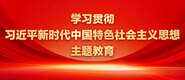 骚逼视频线看w学习贯彻习近平新时代中国特色社会主义思想主题教育_fororder_ad-371X160(2)